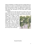 Referāts 'Rožkāposti', 6.