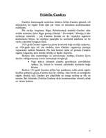 Referāts 'Pirmie ievērojamākie latviešu zinātnieki', 17.