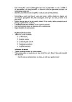 Prakses atskaite 'Prakses atskaite viesu apkalpošanā un darba organizācijā viesnīcā "Reval Hotel E', 26.