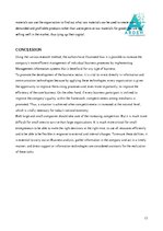 Eseja 'Business Analysis', 13.