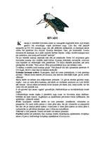 Referāts 'Dunduri', 3.