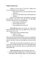 Referāts 'Fiksēta valūtas kursa režīma priekšrocības', 4.