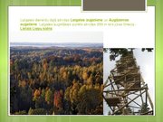 Referāts 'Latgale', 6.