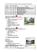 Referāts 'Aktīvā tūrisma iespējas Kurzemē', 13.