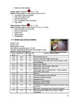 Referāts 'Aktīvā tūrisma iespējas Kurzemē', 19.