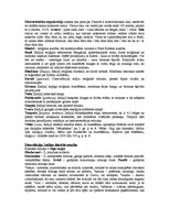 Konspekts 'Pasaules tautu mūzika', 17.