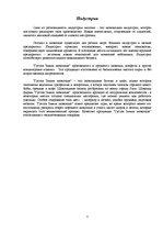 Biznesa plāns 'Интернациональный маркетинговый план входа предприятия SIA "Emila Gustava Šokolā', 3.