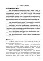 Referāts 'Rakstības izcelšanās un vēsture', 4.