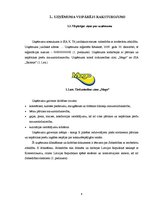 Prakses atskaite 'Kvalifikācijas prakses atskaite grāmatvedībā', 6.