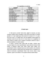 Prakses atskaite 'Kvalifikācijas prakses atskaite grāmatvedībā', 21.