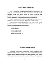 Prakses atskaite 'Kvalifikācijas prakses atskaite grāmatvedībā', 22.