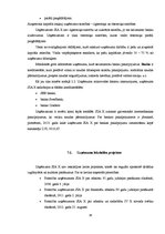 Prakses atskaite 'Kvalifikācijas prakses atskaite grāmatvedībā', 38.