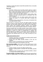 Eseja 'Darba aizsardzība - Darba vides iekšējā uzraudzība uzņēmumā', 2.