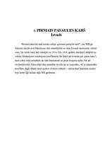 Referāts 'Pirmais pasaules karš ', 3.
