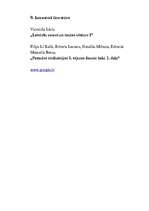 Referāts 'Pirmais pasaules karš ', 13.