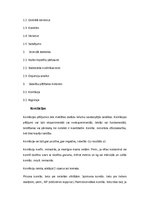 Konspekts 'Izglītības pētniecība. Eksāmena jautājumi', 12.