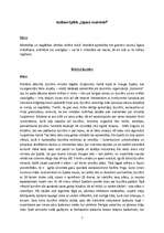 Eseja 'Anšlavs Eglītis "Līgavu mednieki"', 1.