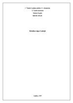 Referāts 'Brīvības cīņas Latvijā', 1.