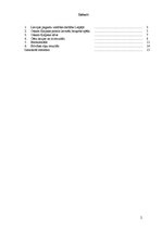 Referāts 'Brīvības cīņas Latvijā', 2.