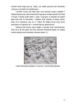 Referāts 'Brīvības cīņas Latvijā', 13.