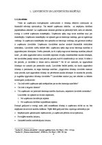 Referāts 'Likviditātes un maksātspējas rādītāju analīze SIA "Rīgas Ūdens"', 4.