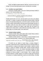 Referāts 'Likviditātes un maksātspējas rādītāju analīze SIA "Rīgas Ūdens"', 7.