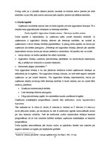 Referāts 'Likviditātes un maksātspējas rādītāju analīze SIA "Rīgas Ūdens"', 9.