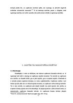 Referāts 'Likviditātes un maksātspējas rādītāju analīze SIA "Rīgas Ūdens"', 11.