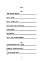 Referāts 'Rūpnīca ”Sakret”un sauso maisījumu tirgus', 2.