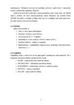 Referāts 'Semestra darbs priekšmetā "vadības teorija" - SIA "Salons"', 5.