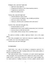 Referāts 'Semestra darbs priekšmetā "vadības teorija" - SIA "Salons"', 7.