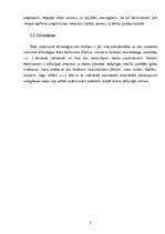 Referāts 'Semestra darbs priekšmetā "vadības teorija" - SIA "Salons"', 8.