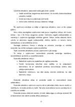 Referāts 'Semestra darbs priekšmetā "vadības teorija" - SIA "Salons"', 13.