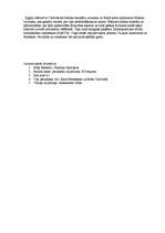 Referāts 'ASV prezidenti', 17.