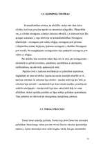 Referāts 'Musulmaņu tiesību sistēmas raksturojums', 13.