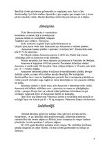 Konspekts 'Brazīlija', 4.