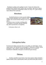 Konspekts 'Brazīlija', 9.