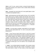 Referāts 'Enerģētisko dzērienu ietekme uz skolēnu veselību', 9.