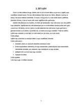 Referāts 'Suņu uzturēšanas izmaksas', 3.