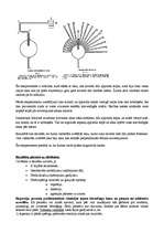 Konspekts 'Mācīšanās teorija', 6.