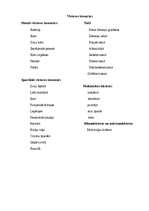 Prakses atskaite 'Kvalifikācijas prakses atskaite', 15.