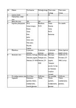 Prakses atskaite 'Prakses atskaite uzņēmējdarbībā viesu namā "Imantas"', 6.