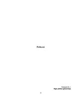 Referāts 'Pilsētas aglomerācijas veidošanās: Londonas un Rīgas piemērs', 12.