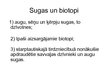 Prezentācija 'Tiesību objekti', 10.