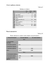 Biznesa plāns 'Бизнес план предприятия "Travel Event"', 26.