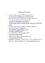 Biznesa plāns 'Бизнес план предприятия "Travel Event"', 29.