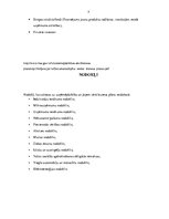 Konspekts 'Biznesa plāna veidošana', 5.