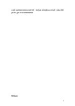 Prezentācija 'Sižets fotomākslā', 3.