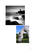 Prezentācija 'Sižets fotomākslā', 4.