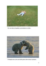 Prezentācija 'Sižets fotomākslā', 9.